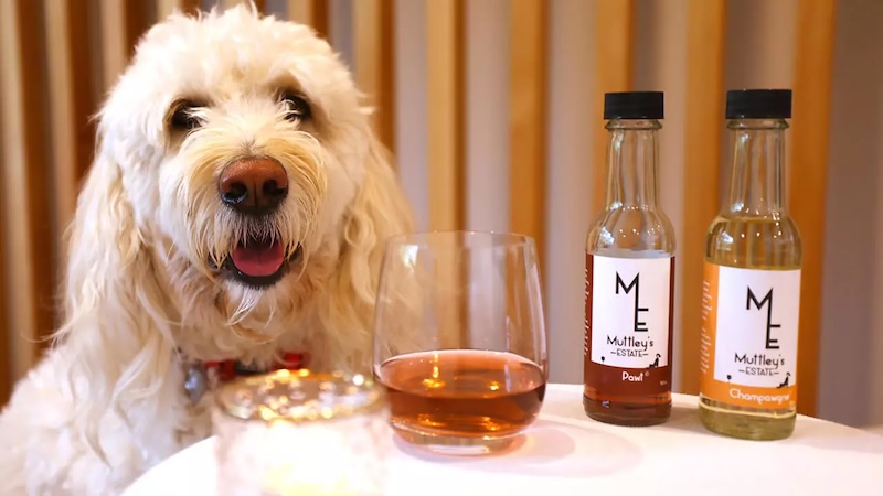 muttley estate dog wines