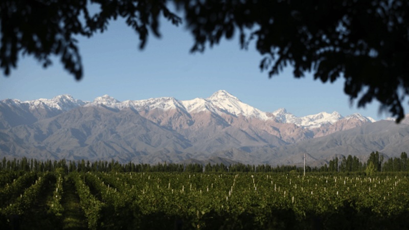 salentein el portillo